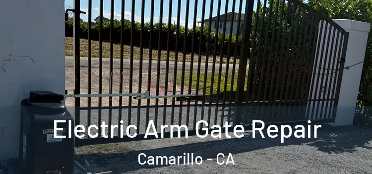 Electric Arm Gate Repair Camarillo - CA