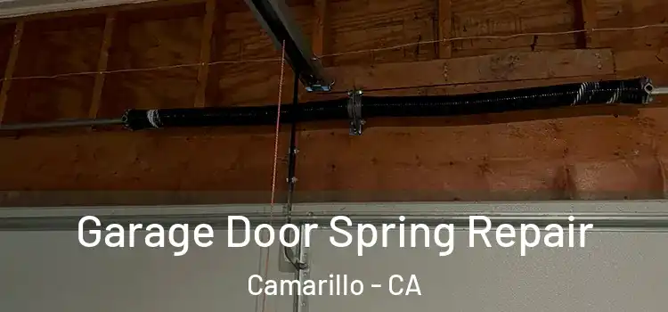  Garage Door Spring Repair Camarillo - CA