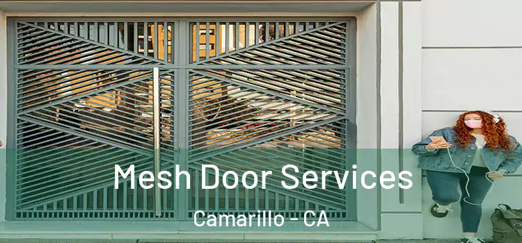 Mesh Door Services Camarillo - CA