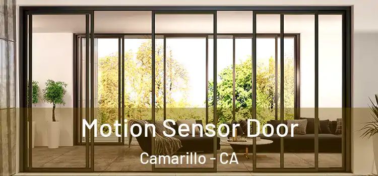 Motion Sensor Door Camarillo - CA